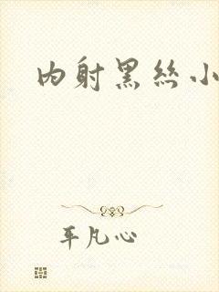 内射黑丝小少妇