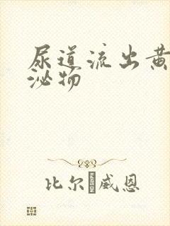 尿道流出黄色分泌物