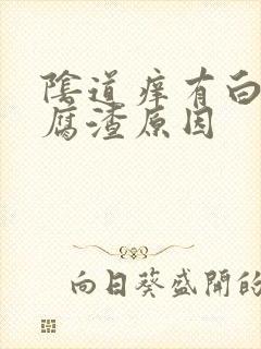 阴道痒有白色豆腐渣原因