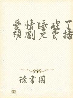 爱情睡醒了 电视剧免费播放