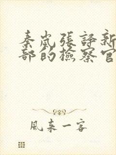 秦岚张译新剧九部的检察官