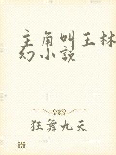 主角叫王林的玄幻小说封面