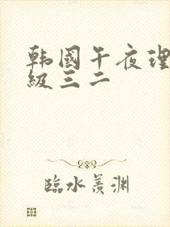 韩国午夜理论三级三二封面