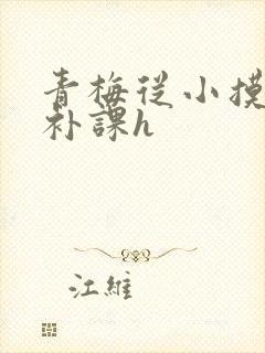 青梅从小摸到大补课h