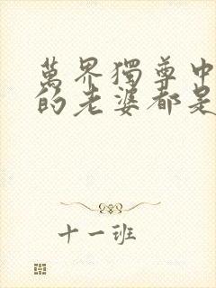 万界独尊中林枫的老婆都是谁