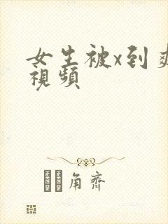 女生被x到爽的视频