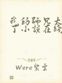 我的师兄太稳健了小说在线