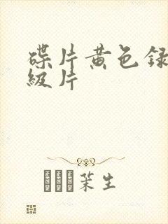 碟片黄色录像一级片