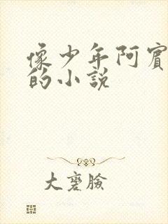 像少年阿宾一样的小说封面