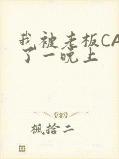 我被老板CAO了一晚上