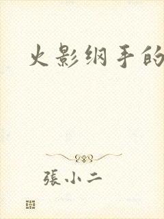 火影纲手的卷轴封面