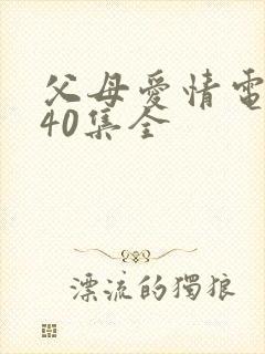 父母爱情电视剧40集全封面
