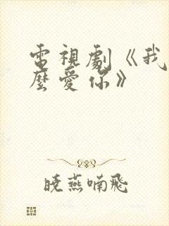 电视剧《我该怎么爱你》