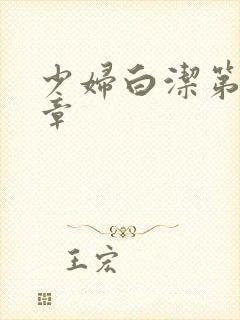 少妇白洁第三十章