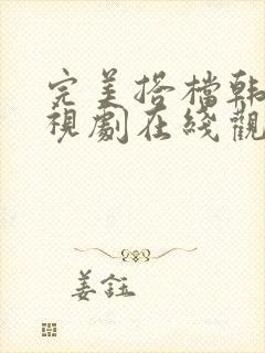 完美搭档韩剧电视剧在线观看全集高清