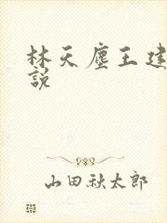 林天尘王建堂小说
