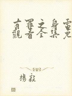 有罪之身电视剧观看全集免费