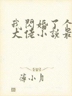 我闪婚了个财阀大佬小说最新章节封面