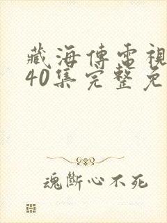 藏海传电视剧第40集完整免费观看