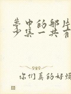 梦中的那片海多少集一共有几集