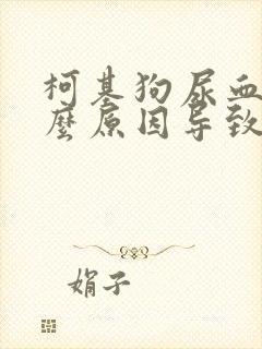 柯基狗尿血是什么原因导致的呢