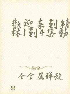 欢迎来到精灵森林1到4集动漫