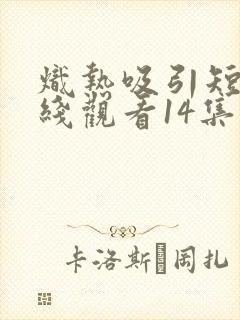 炽热吸引短剧在线观看14集