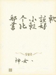 哪个小说软件听书比较好封面