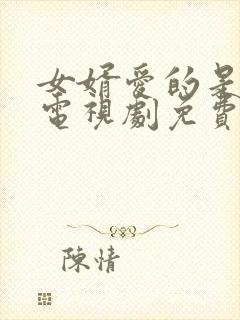 女婿爱的是岳母电视剧免费观看