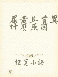 尿黄且有异味是什么原因