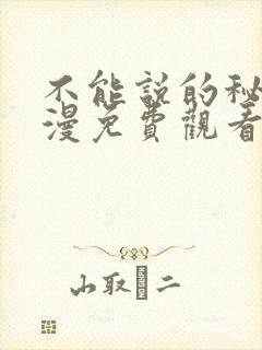 不能说的秘密动漫免费观看