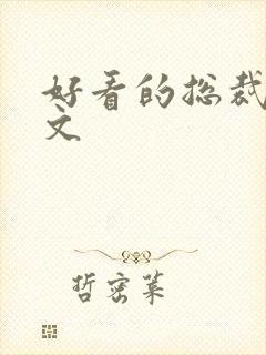 好看的总裁小说文封面