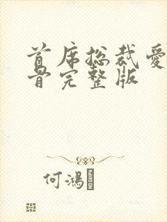 首席总裁爱你入骨完整版