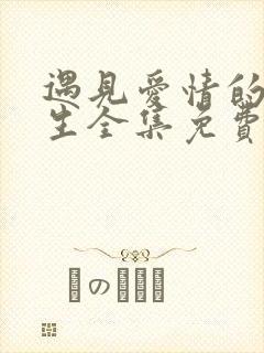 遇见爱情的利先生全集免费观看