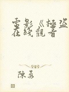 电影《极盗者》在线观看