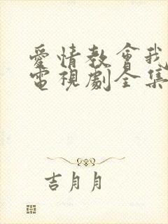 爱情教会我的事电视剧全集封面