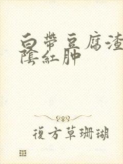 白带豆腐渣状外阴红肿