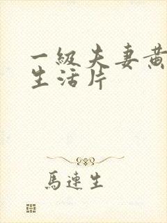 一级夫妻黄色性生活片