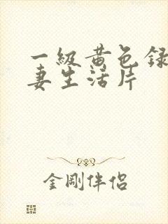 一级黄色录像夫妻生活片封面