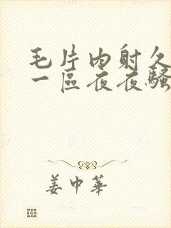 毛片内射久久久一区夜夜骚