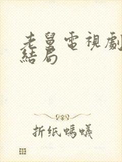 老舅电视剧最后结局封面