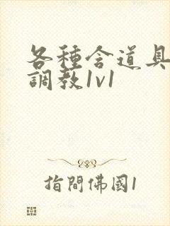 各种含道具高h调教1v1封面