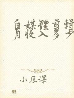 自媒体剪辑一个月收入多少