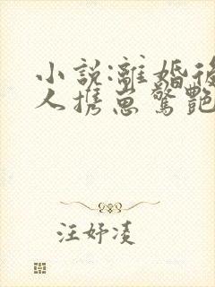 小说:离婚后夫人携崽惊艳全球