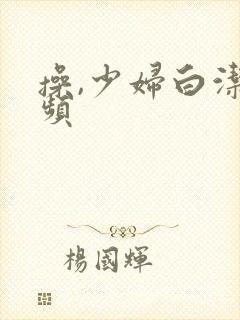 操,少妇白洁视频