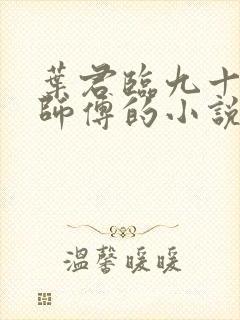 叶君临九十九个师傅的小说