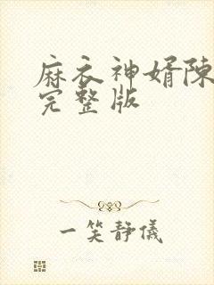 麻衣神婿陈黄皮完整版封面