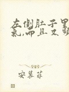 左侧肚子里有胀气,而且又频繁放屁