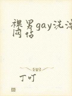 裸男gay洗澡网站封面