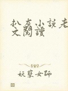 扒灰小说老马全文阅读封面